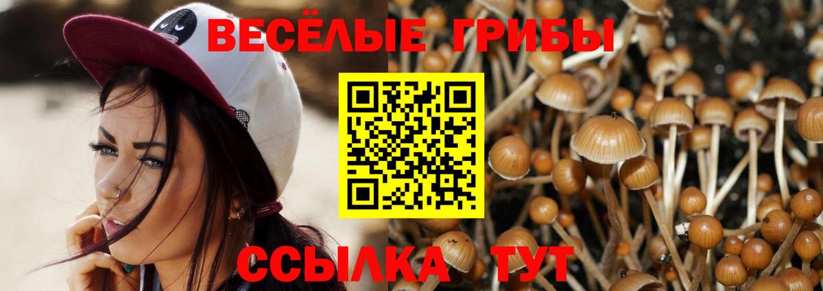 МЕФ Новороссийск