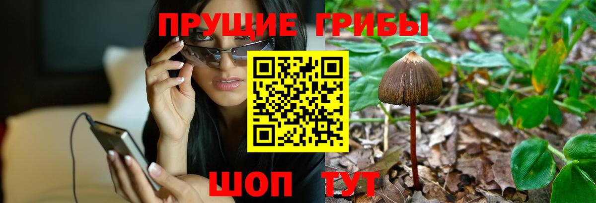 Галлюциногенные грибы мицелий  Вход с VPN  что такое наркотик  Новороссийск 