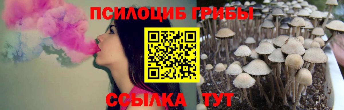 Cocaine  А ПВП СК   Новороссийск  МЕФ   ГАШИШ  Вход с VPN  Канабис 